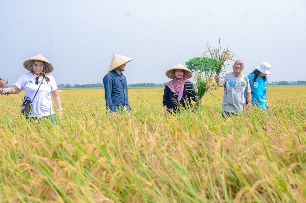 Siwid Impact, perusahaan karya anak bangsa