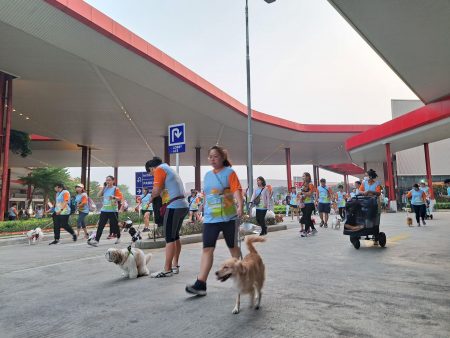 PET KINGDOM, pusat perawatan kebutuhan