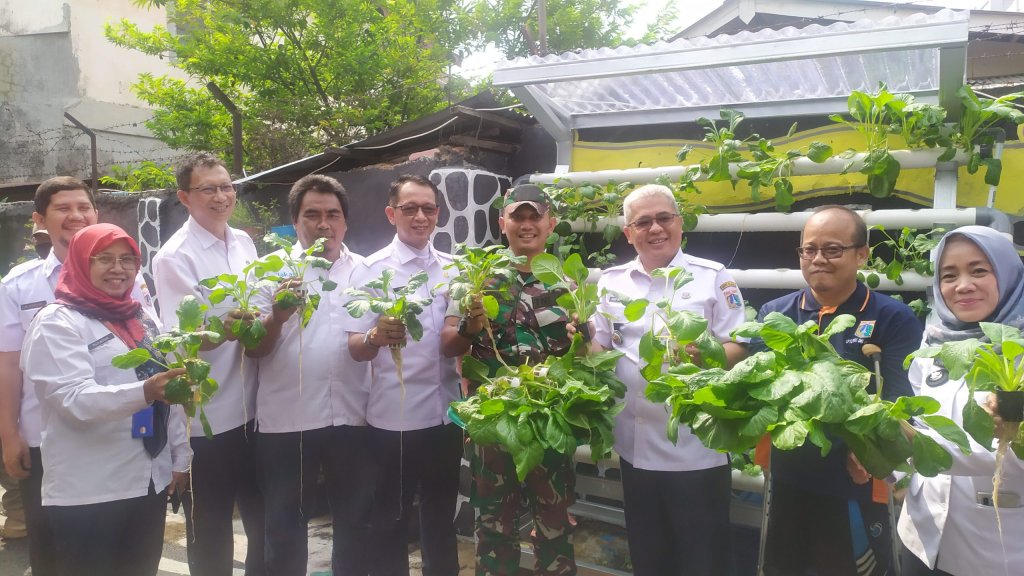 Budidaya sayur tidaklah harus di desa, kebun